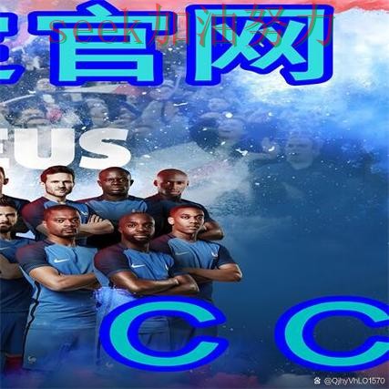 世界杯买球网站精选合集：覆盖高清直播+直播与入口方式 - 世界杯官方信息